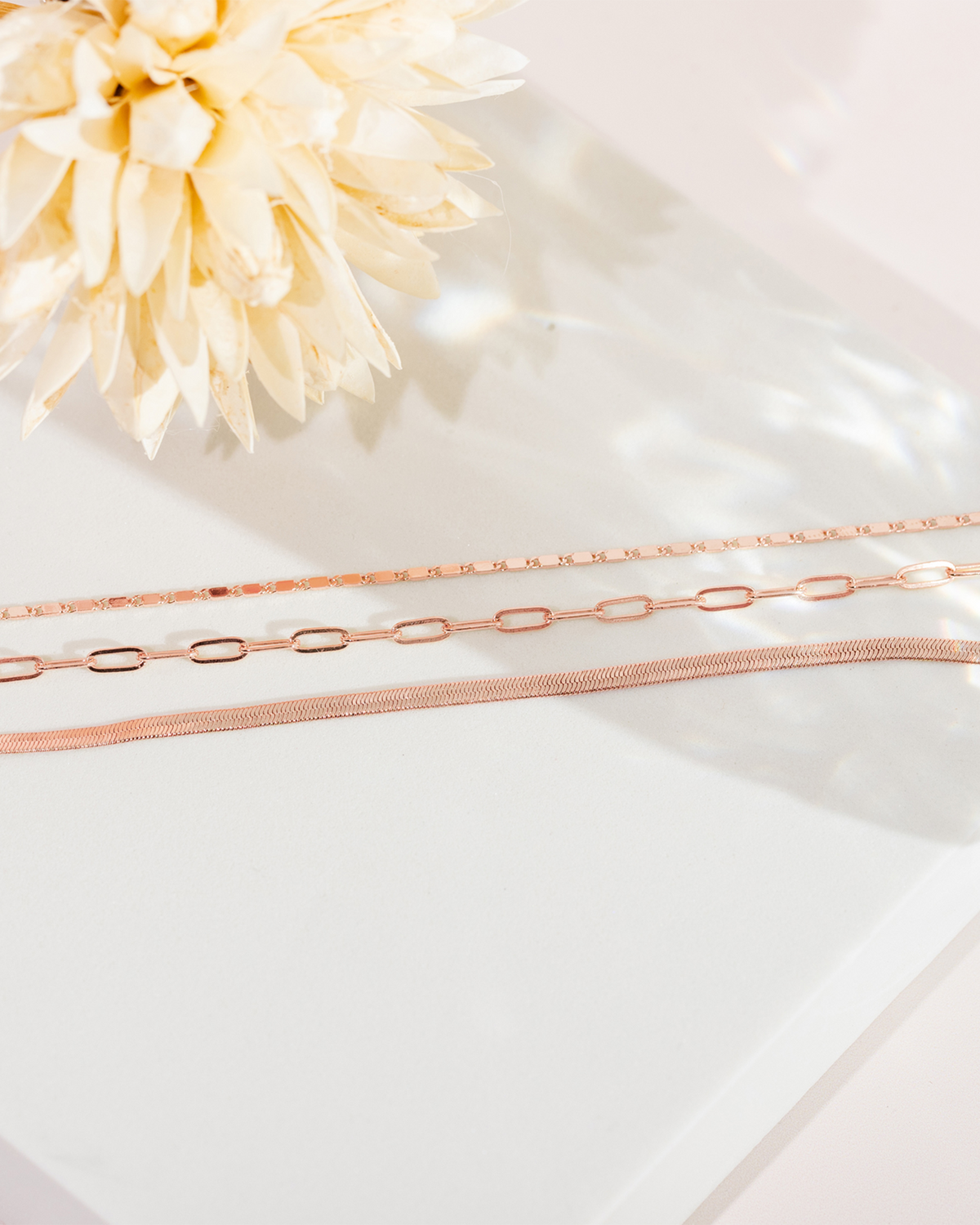 Collana Sofía · 8